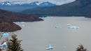 Lago Grey, jede Bucht mit ihren Eisbergen