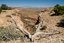 Upper South Desert Overlook, hinten Henry Mountains