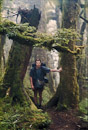 Jens im Regenwald