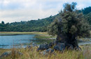 Lake Kiriupokae