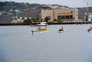 Kanurennen im Hafen von Wellington