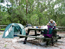 Campground am Lake Mckenzie